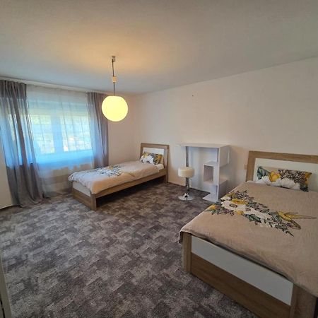 Ferienwohnung Freudenberg Freudenberg am Main Εξωτερικό φωτογραφία