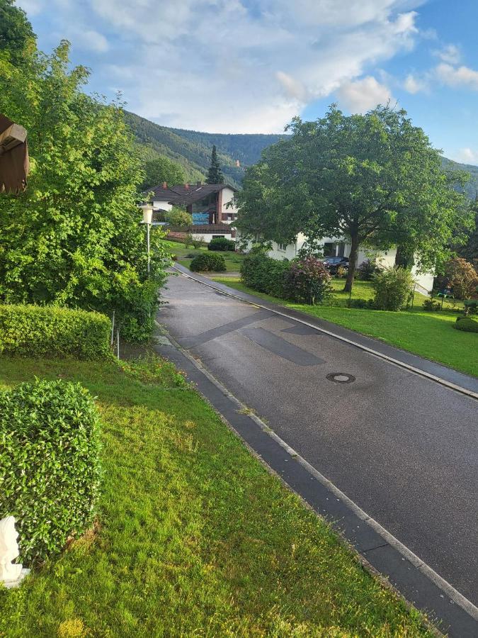 Ferienwohnung Freudenberg Freudenberg am Main Εξωτερικό φωτογραφία